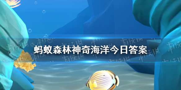 探索海洋之謎揭示被稱為海狼軍團的海洋海狼神秘魚類
