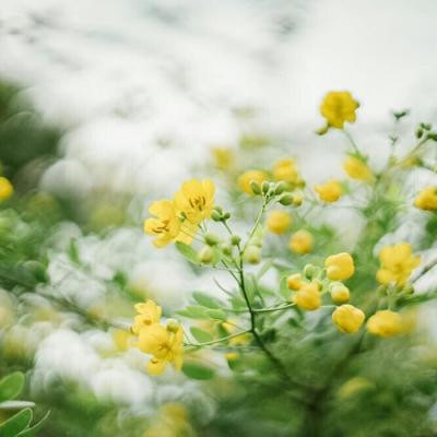 微公益
