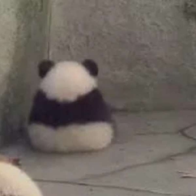 林凡儒