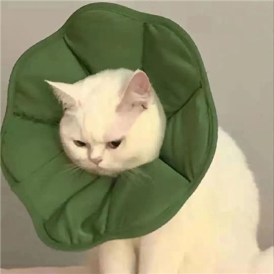 感情觀