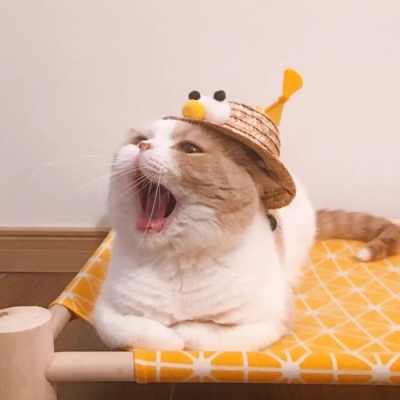 西頓