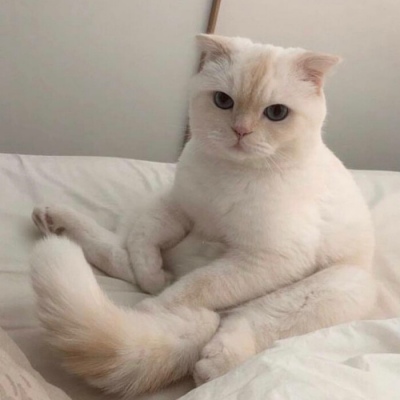 小衣服