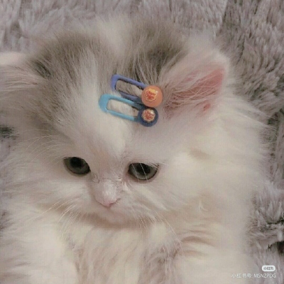 林雋