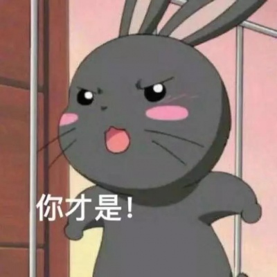 奶排