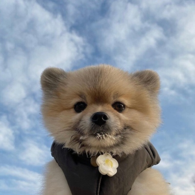 孫海光