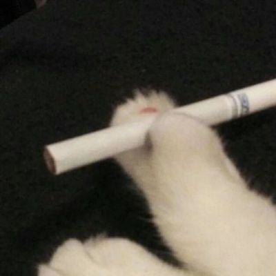 天藝