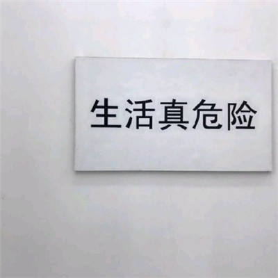 釋迦獸