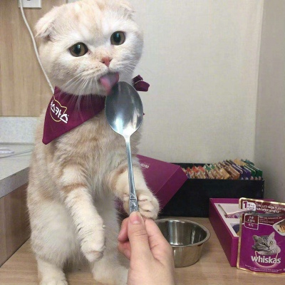 撩頭發
