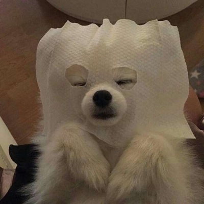 彭冬