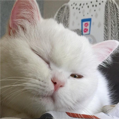 萬麗會