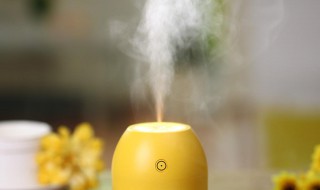什么情況下用加濕器 什么情況下才用加濕器呢