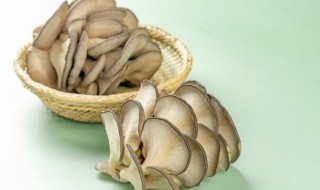 夢見蘑菇是什么意思 夢見蘑菇的解說