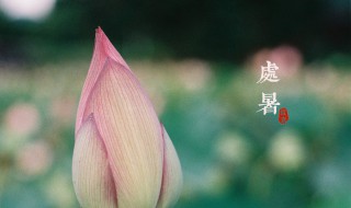 處暑節氣祝福語 處暑節氣祝福語有哪些
