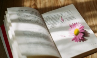 對男子的思念古風美句 描述對一個人思念的古風的句子