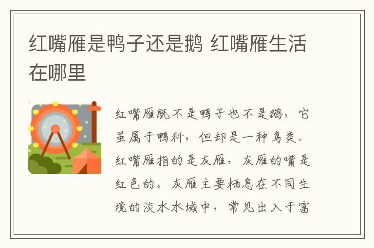 紅嘴雁是鴨子還是鵝 紅嘴雁生活在哪里