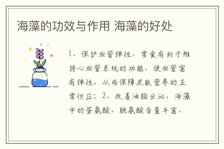 海藻的功效與作用 海藻的好處
