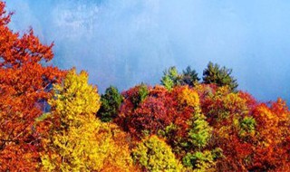 光霧山看紅葉最佳地點 光霧山看紅葉最佳地點在哪里