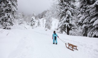 哈爾濱雪鄉在哪里哈爾濱雪鄉在哪里下飛機