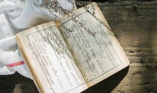 給對象講的睡前小故事 給對象講的睡前小故事是什么