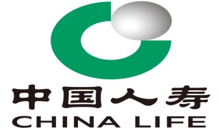 怎么玩兒中國人壽手機端的智測身價 測算僅供參考