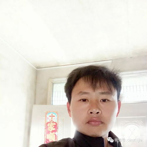 在完美親家能找到合適的另一半嗎？