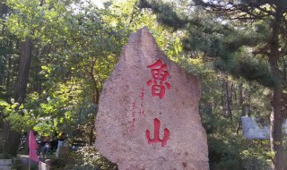 魯山公園開放時間 要一起去玩嗎