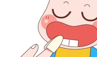 正確儲存孩子的乳牙 如何正確儲存孩子的乳牙