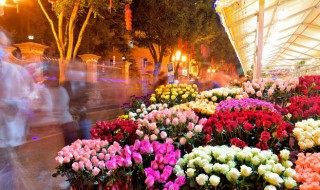 給孕婦送什么花最好 給孕婦應該送哪些花