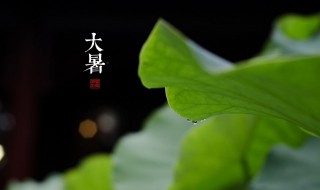 大暑養生要點講解 大暑節氣養生要點