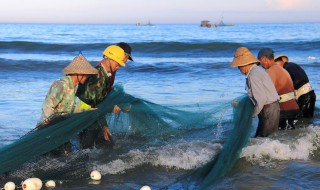 周公解夢夢見別人買魚是什么意思 周公解夢夢見別人買魚含義