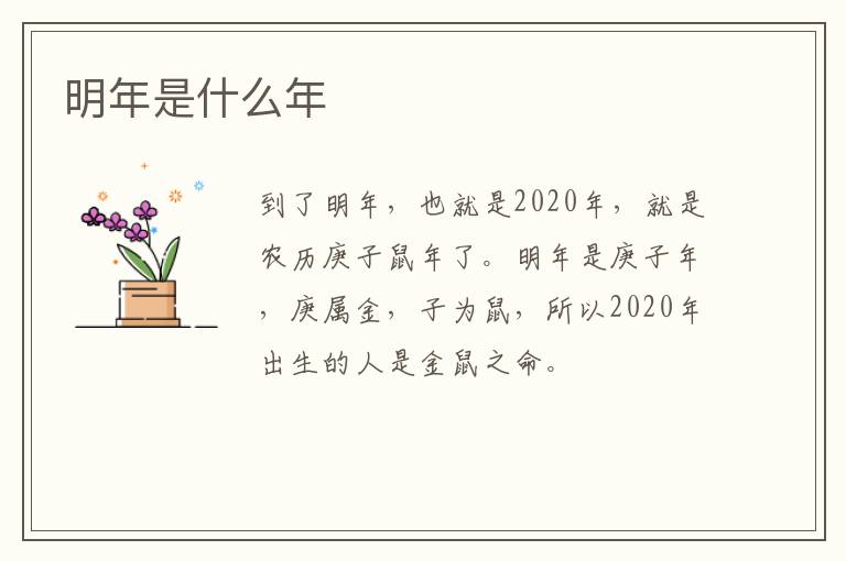 明年是什么年