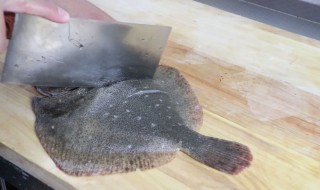 多寶魚背上的小顆粒要處理嗎 關于多寶魚背上的小顆粒要處理嗎