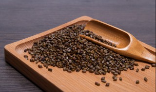 決明子可以天天喝嗎 能不能每天喝決明子