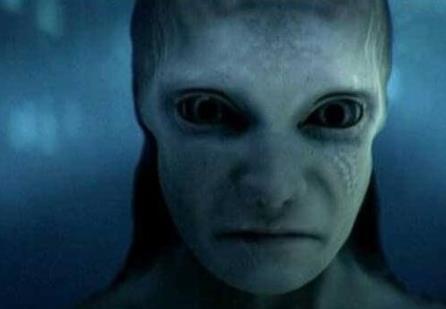 美人魚什么樣子圖片 美人魚的真正面目圖片