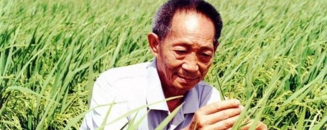 袁隆平去世時間 袁隆平的英雄事跡簡介