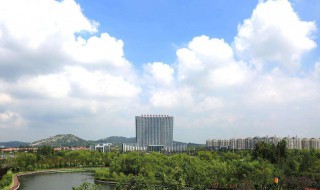 臨港是哪個省哪個市的 臨港的簡介