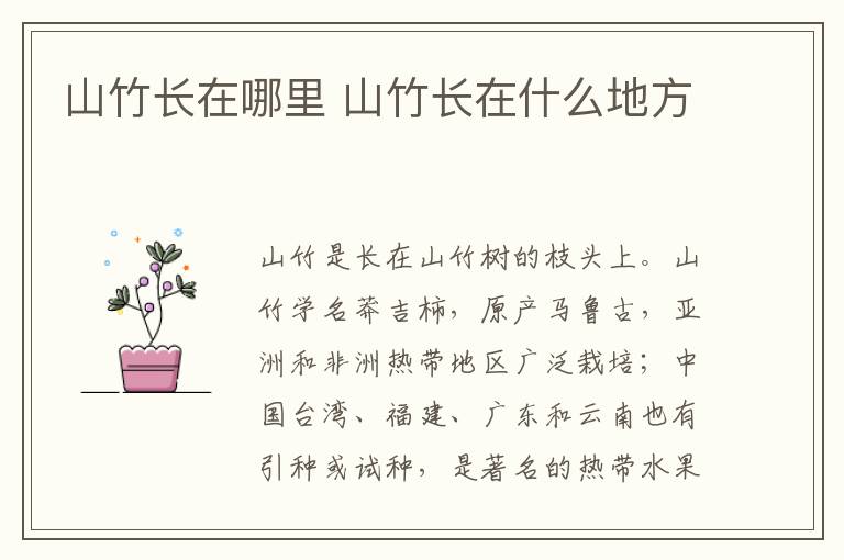 山竹長在哪里 山竹長在什么地方