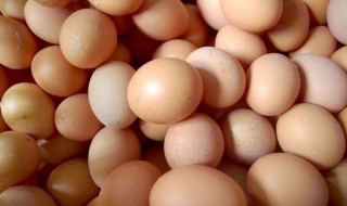 燜蛋的做法 小孩子特別喜歡吃