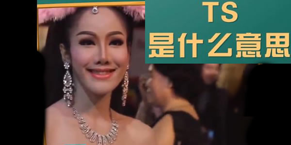 ts代表啥 ts是什么意思解釋一下