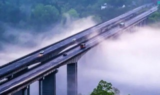 滬渝大橋簡介 滬舟大橋