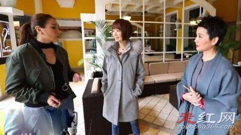 四太梁安琪個人資料簡介 魯豫有約一日行怎么回事