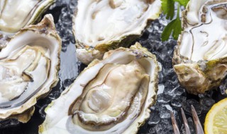 深圳八大特產 深圳八大特產有哪些