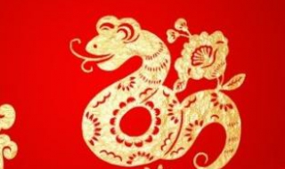 蛇年祝福語 愿你美夢成真