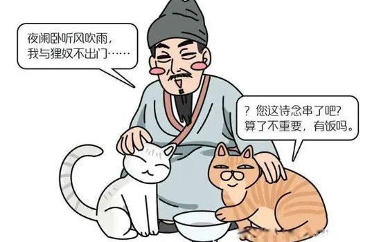 古代人稱呼貓的雅稱 貓咪古代的各種叫法