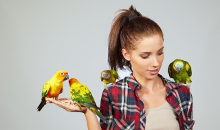 夢見抓到一只鳥是什么意思 夢見抓到一只鳥好不好