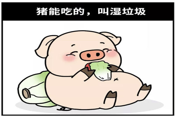 垃圾分類豬豬分類法 垃圾分類豬能吃的豬不能吃的東西