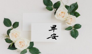 女朋友說早安高情商回復 女朋友說早安高情商如何回復