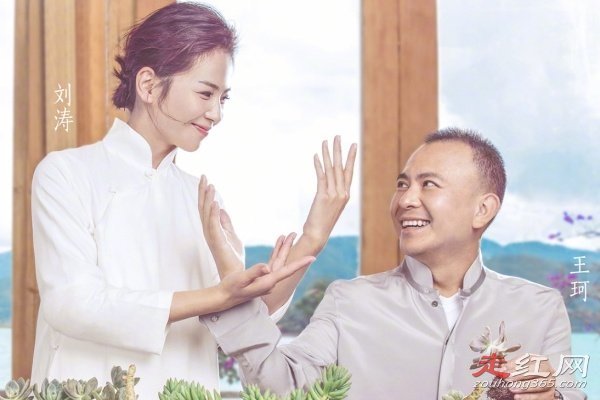 劉濤老公王珂是誰 重回娛樂圈賺錢養家