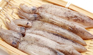 凍魷魚解凍后有臭味能吃嗎 凍魷魚解凍后有臭味能不能吃