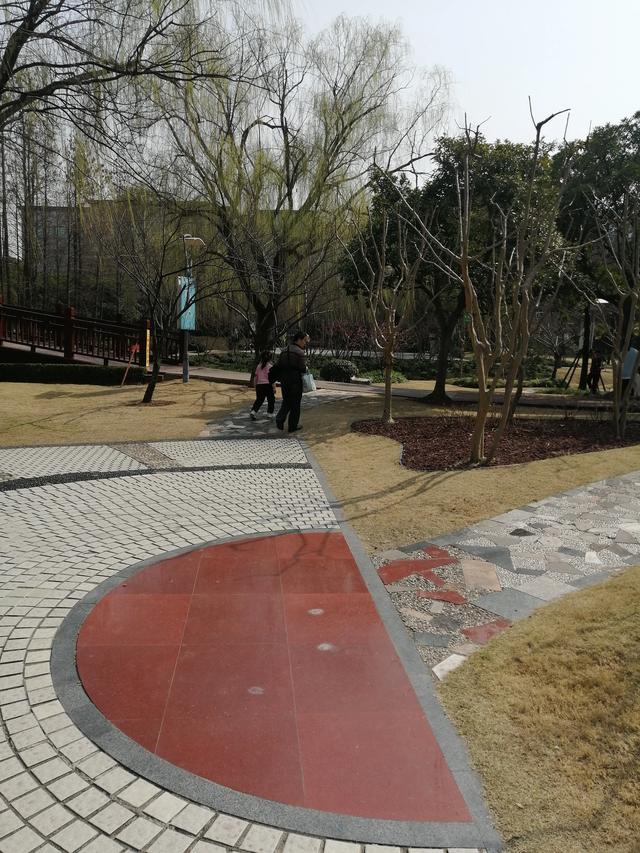 代表建議取消犯罪分子的子女考公務員限制，那入伍當兵呢？